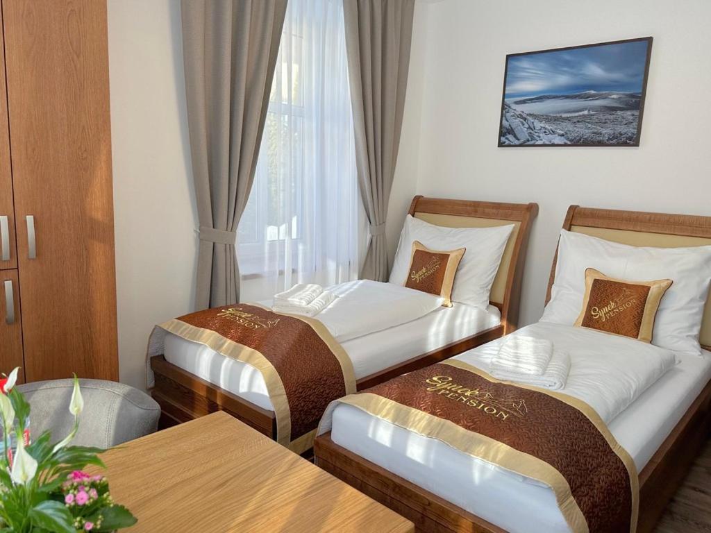 Synek Pension Špindlerŭv Mlýn Exteriör bild
